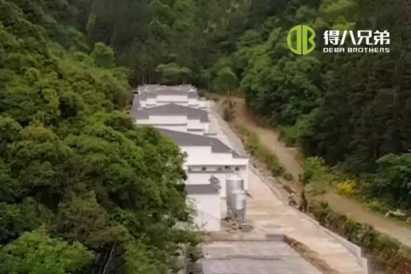 نظام التغذية السائلة ã Anhui Huangshan 400 بذر مزرعة